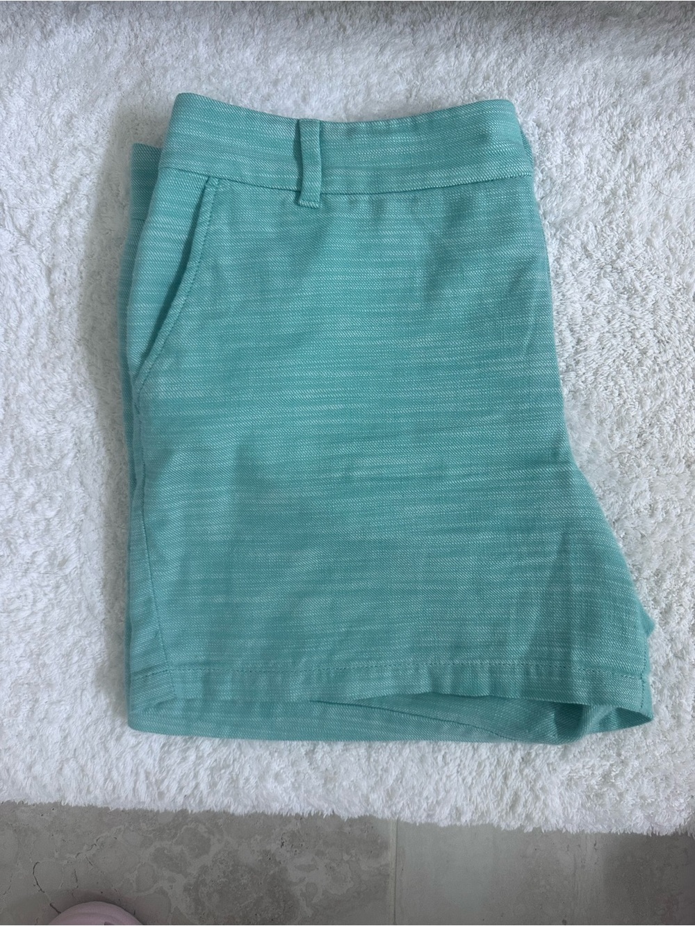 LOFT Aqua Mint Women’s Casual Shorts